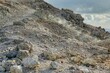 rocks on the beach , image taken in Follonica, grosseto, tuscany, italy , larderello desert