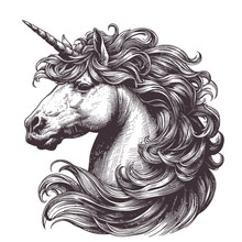 Vector Vintage Illustration Of Unicorn In Engraving Style. Hand Drawn Portrait Of Magic Animal Isolated On White. Fantasy Character Sketch