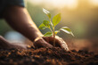 A person's hand planting a tiny sapling in rich soil. Concept of environmental stewardship and growth. Generative Ai.