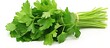 Delicious leafy coriander a fresh and flavorful bundle of culinary delight