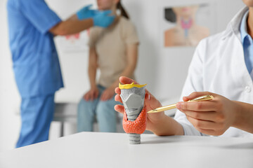 Sticker - Endocrinologist showing thyroid gland model at table while another doctor examining patient in hospital, closeup