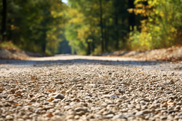 Canvas Print - Road-level close up photo of pebble dirt road, forest canopy in the distance