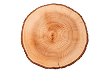 Top View Of Circular Wood Piece With Annual Ring Isolated On White Background
