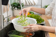 Close up hand of asian young woman washing sunflower sprout, hydroponic green oak lettuce, fresh vegetable with splash water in basin of water on sink in kitchen at home, preparing salad, cooking meal