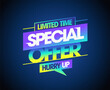 Limited time special offer vector sale banner