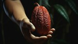 A handheld shot of a person holding a piece of Salak (Snake Fruit) in their hand, ready to take a bite, showcasing the fruit's size and texture.