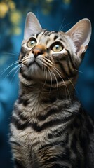 Portrait of a Curious Bengal cat