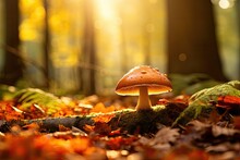 Mushroom In Autumn Forest. Beautiful Nature Scene With Mushrooms, Mushroom In The Autumn HD 8K Wallpaper Stock Photographic Image, AI Generated