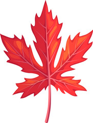 Poster - Red maple leaf, embodies autumn fiery hues. Its intricate veins capture nature artistry, celebrating the changing seasons. Isolated vector symbol of Canada, fall season forest foliage, single element