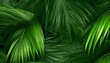 Texture de fond de feuille de forêt tropicale verte