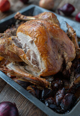 Wall Mural - Whole roast turkey with cross section view on a baking sheet