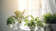 Beautiful houseplants near window in light room, space for text.