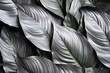 © JAYDESIGNZ - Textures of abstract silver leaves for tropical leaf background. Flat lay, dark nature concept, tropical leaf