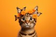 Beautiful cat wearing a crown of flowers and butterflies on bright orange background. Cute animal with flower wreath and butterfly on his head. Spring female concept