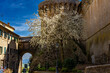 Die Schöne Altstadt Volterra die südwestlich von Florenz in Italien liegt
