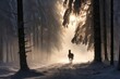 A horse stand in foggy winter woods with snow and sun light ray.
