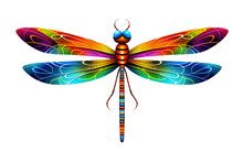Vibrant Dragonfly, On Transparent Background