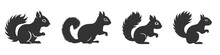 Squirrel Silhouette Set. Vector Illustration