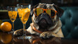 cool pug dog wearing sunglass
