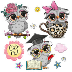 Sticker - Set of cute cartoon owls