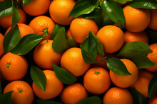 Background Of Mandarins With Green Leaves. Top View.