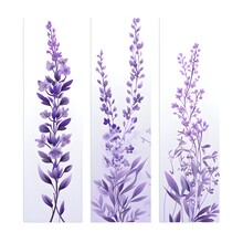 Three Different Types Of Purple Flowers On A White Background. Abstract Lavender Color Flower And Botanical Leaves Background. VIP Invitation And Celebration Card.