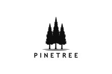 Rustic Retro Vintage Pine Evergreen