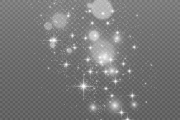 Poster - Brilliant dust vector shine. Glittering shiny ornaments for background. Vector illustration.	
