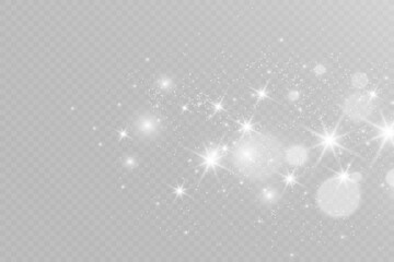 Poster - Brilliant dust vector shine. Glittering shiny ornaments for background. Vector illustration.	
