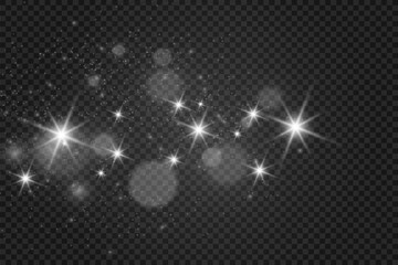 Poster - Brilliant dust vector shine. Glittering shiny ornaments for background. Vector illustration.	
