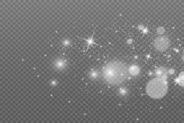 Poster - Brilliant dust vector shine. Glittering shiny ornaments for background. Vector illustration.	
