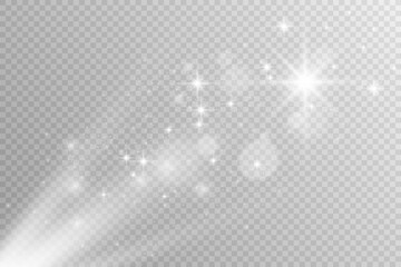 Poster - Brilliant dust vector shine. Glittering shiny ornaments for background. Vector illustration.	
