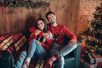 Poster - Photo portrait of cute couple adult people spend weekend in comfortable house decorated xmas tree sit couch wait celebrate holly christmas