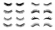 © Artrise Stocker - Different False Eyelashes collection Lash Icon Set