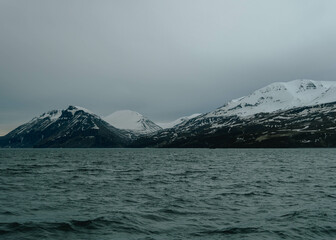 mountains and ocean