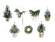 © Bonnie Cocos - Bright watercolor Merry Christmas set of traditional decor and elements plants. Hygge cozy holidays 2024. Merry christmas card.