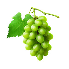 green bunch of grapes, white background