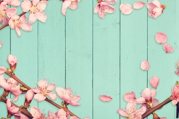 Wall Mural - blossoming fresh flowers on tree branches