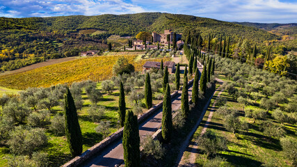 Canvas Print - Italy, Tuscany landscape aerial drone view. Scenic medieval castle with traditional cypresses  - Castello di Meleto in Chianti region