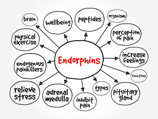 Wall Mural - Endorphins are chemicals (hormones) your body releases when it feels pain or stress, mind map concept background