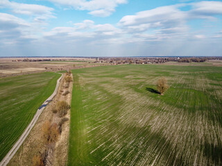 Wall Mural - Dry reclamation canal in the field, aerial view. Agricultural landscape.