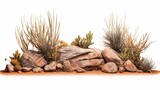 Fototapeta  - desert scene cutout, dry plants with rocks isolated on white background banner, 3d illustration