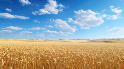 summer field view north landscape illustration green background, grass meadow, countryside rural sum
