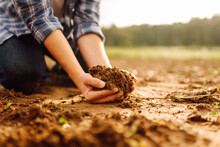 Farmer's Hands Take The Soil From The Field And Check Its Quality. Experienced Male Hands Hold The Soil. Business, Ecology Concept.