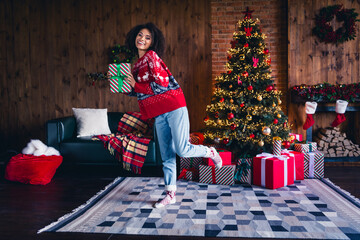 Poster - Full length photo of cheerful attractive person stand one leg hands hold giftbox fairy christmas atmosphere living room house inside