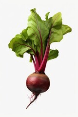 Aufkleber - A picture of a beet with vibrant green leaves on a clean white background. This image can be used for various purposes, such as illustrating healthy eating, organic farming, or vegetarian recipes.
