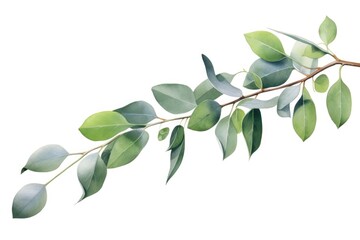 Poster - A picture of a branch with vibrant green leaves against a clean white background. Suitable for use in various design projects.