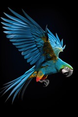Poster - A vibrant blue and yellow parrot soaring through the air. Perfect for adding a splash of color and exotic flair to any project or design.
