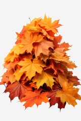 Poster - A collection of orange and yellow leaves beautifully arranged on a clean white background. Perfect for autumn-themed designs and nature-inspired projects
