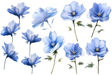 Poster - A bunch of blue flowers on a white background. Can be used for various purposes